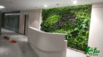 下沙海扩集团