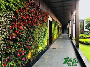 深圳汇隆