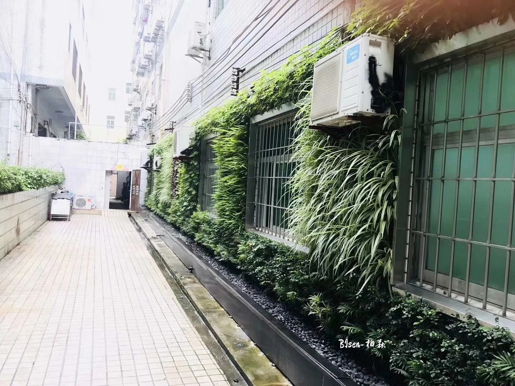 深圳中医院