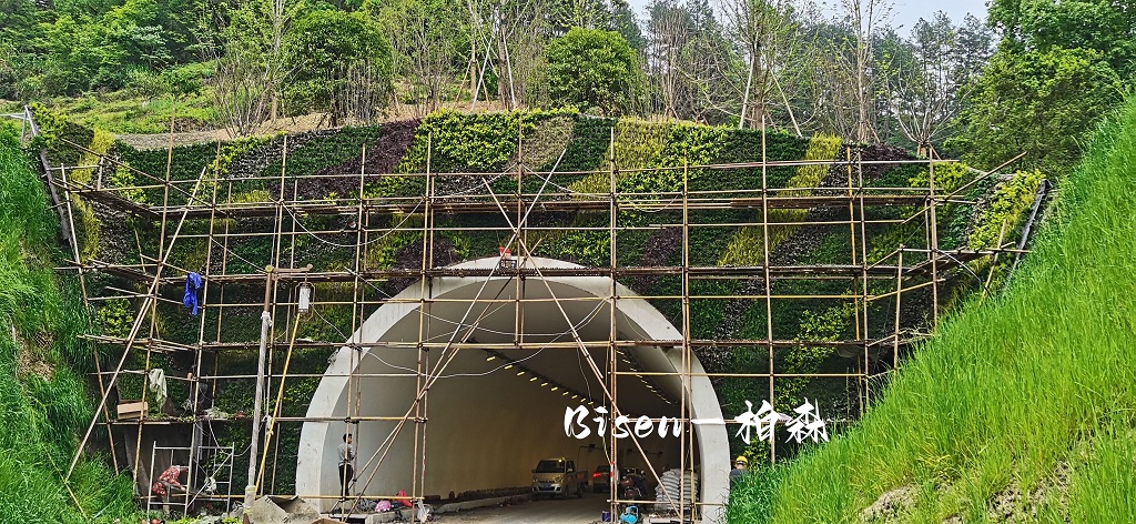 温岭隧道口