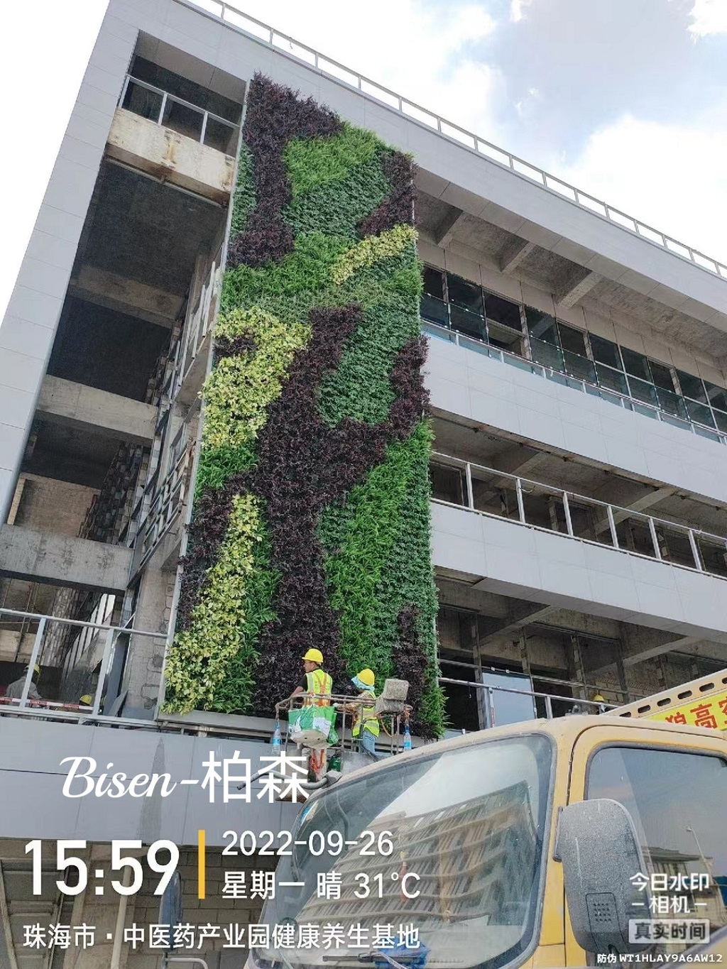 珠海中医药
